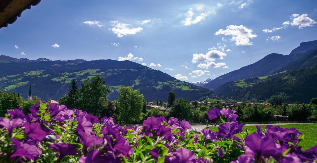 Villa Haidacher Relax & Lifestyle Apartments Zell am Ziller Ruang foto