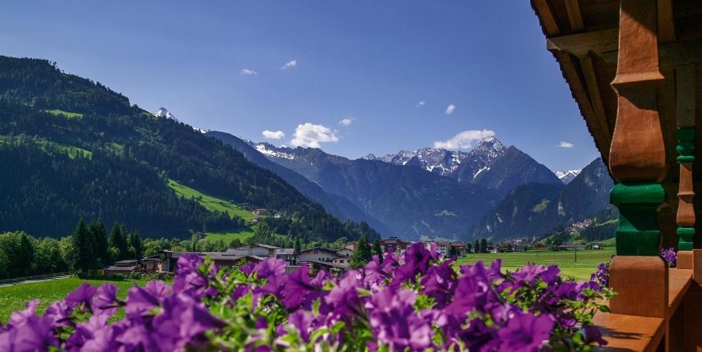 Villa Haidacher Relax & Lifestyle Apartments Zell am Ziller Ruang foto
